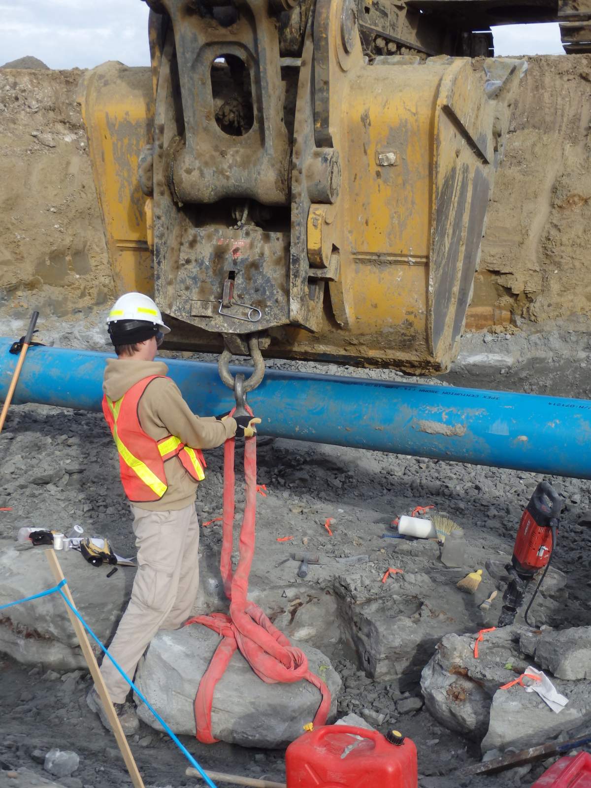 Construction crew discovers dinosaur fossil in Leduc - image