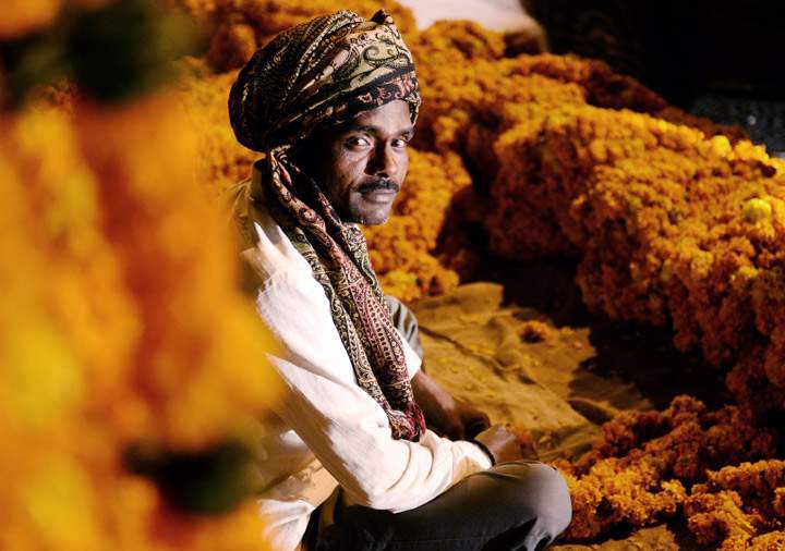 A man sits among marigold flower garlands for sale at an intersection in the early morning of November 3, 2013 in New Delhi. The garlands are used by people to decorate their homes. (Photo credit: Getty Images)
