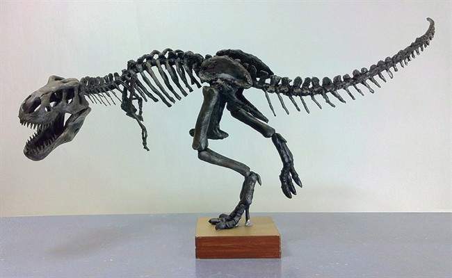 A model of "Scotty," a Tyrannosaurus rex discovered in 1991 near Eastend, Sask., in the Frenchman River Valley is pictured.