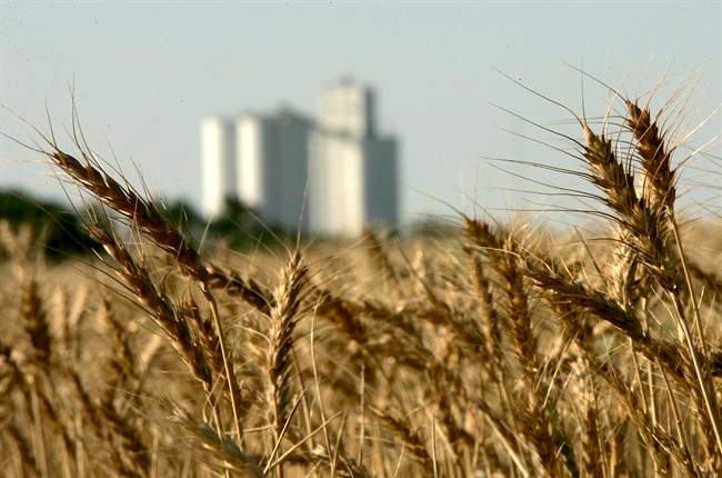 The Saskatchewan Wheat Development Commission wants the federal government to hold consultations before changing the Canada Grains Act.