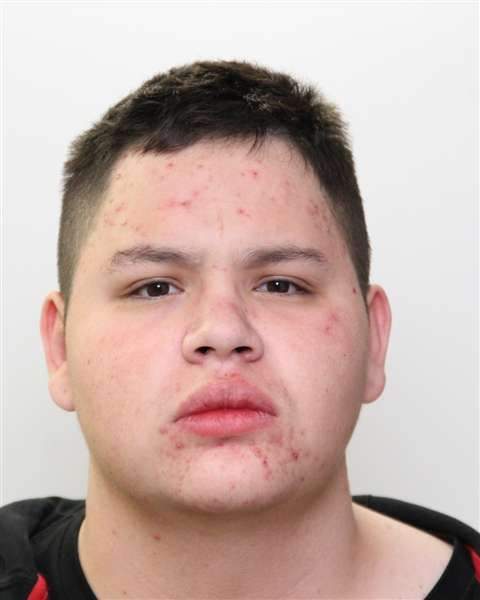 Edmonton Police are looking for 19-year-old Dylan Machiskinic in connection with an assault and animal cruelty case.