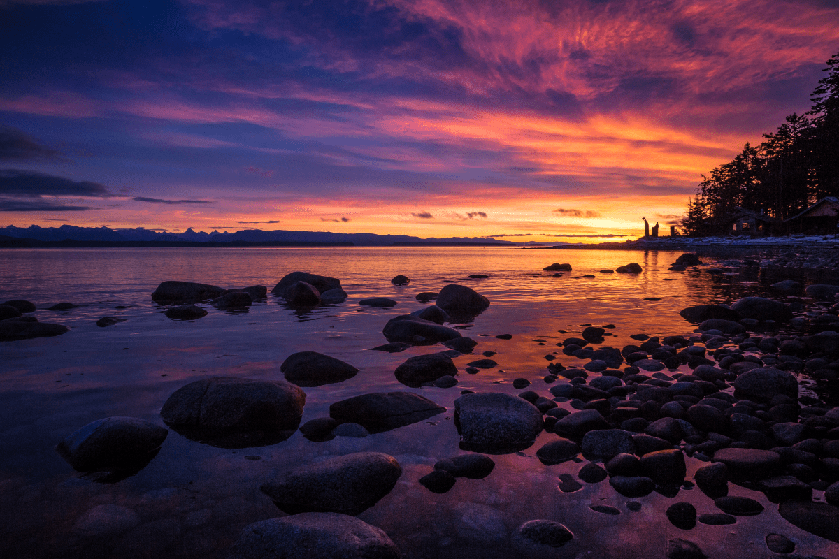 Grant Callegari – Quadra Island