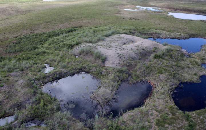 A mud sump, raised, and surrounding ponding. (Image courtesy of Michael Pisaric, Brock University)