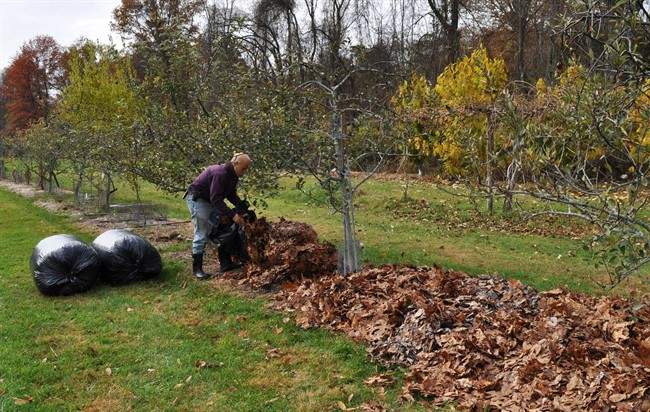 Mulch