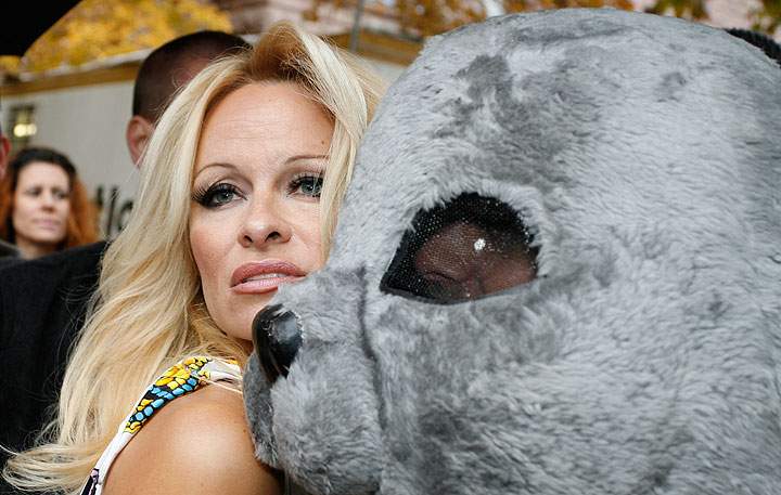Pamela Anderson, pictured at an anti-seal hunt demonstration in Toronto in 2009.