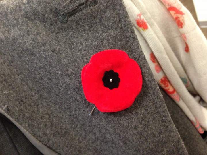 A poppy is worn on a jacket.
