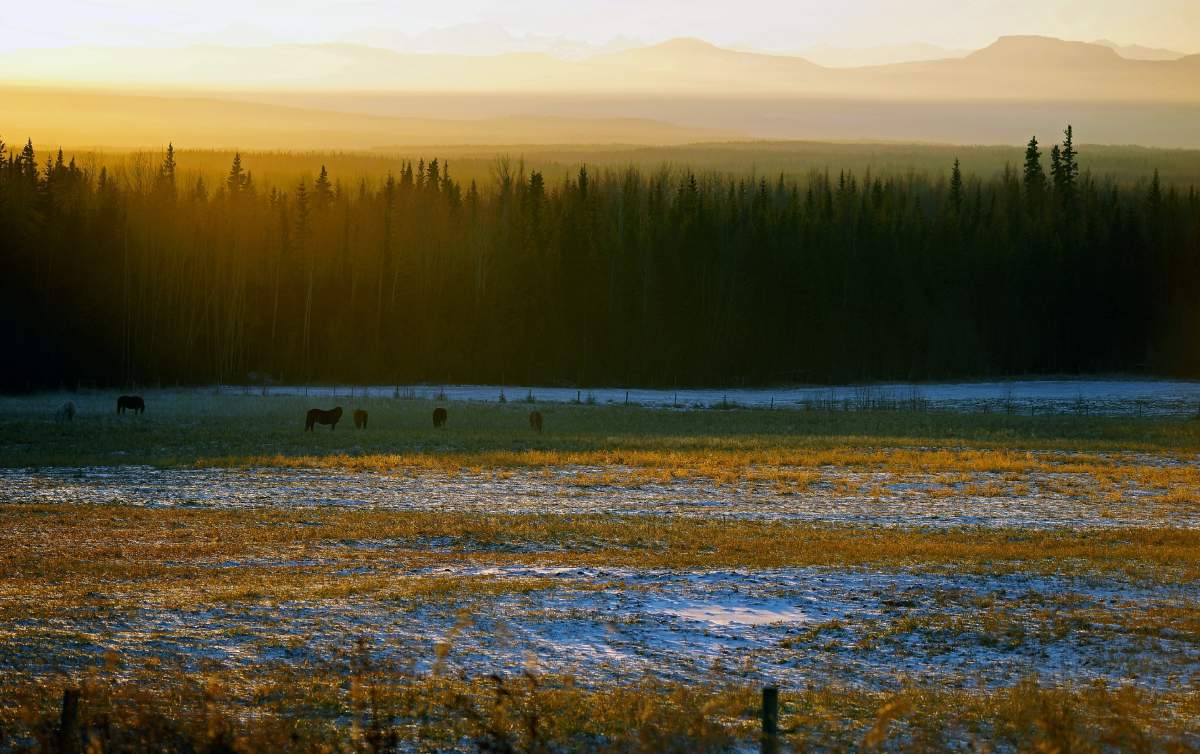 Fort Nelson, B.C.