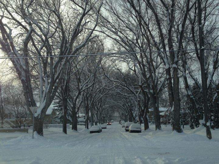 A snowy day in Edmonton's Forest Heights neighbourhood Tuesday, November 19, 2013.