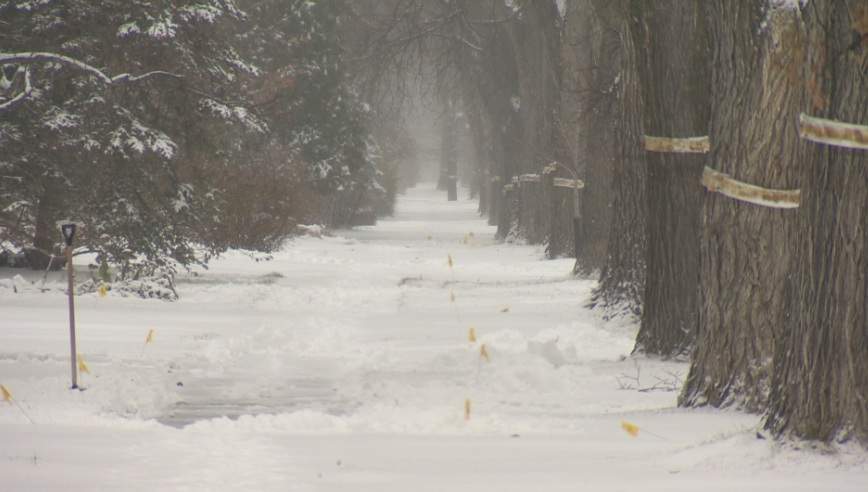 The snow has fallen and city streets look like a Winter Wonderland.