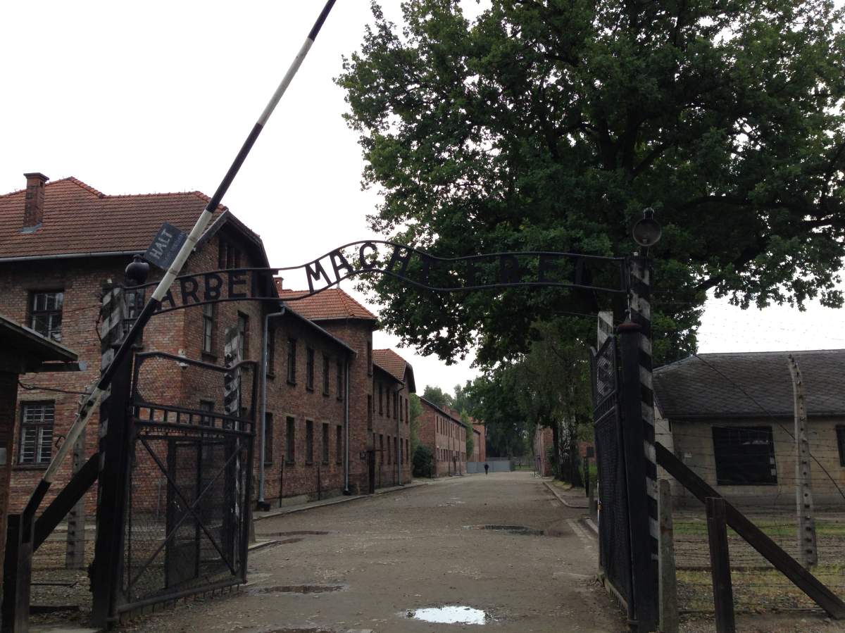 Remembering sacrifice and loss while walking through Auschwitz - image