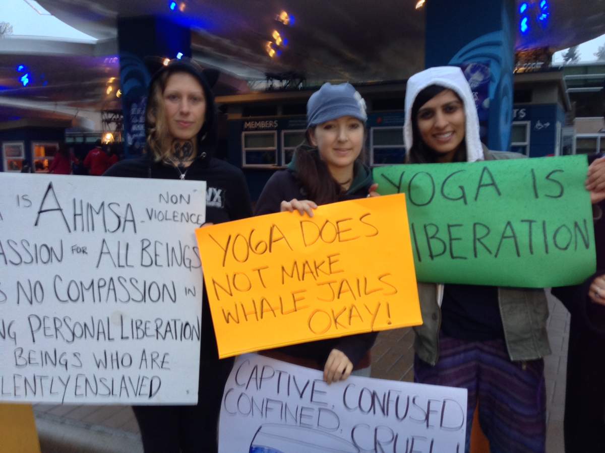 Protest at the Vancouver Aquarium over their new activity 'Yoga with Whales'. Credit: Paul Rowand / Global News.