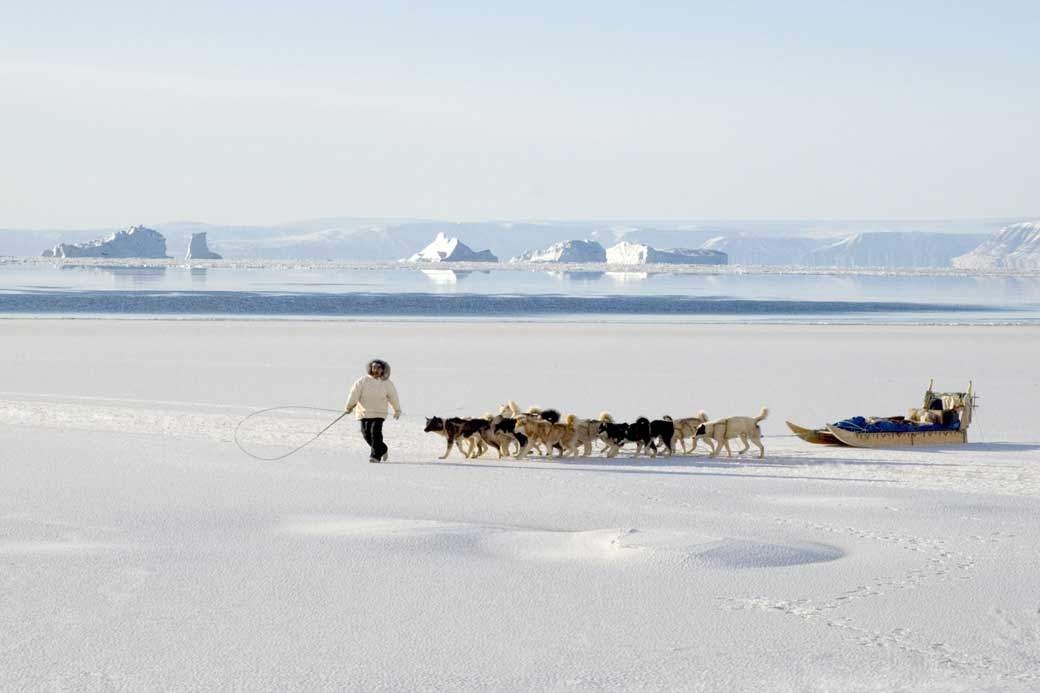 Hunters in the Arctic are seeing changes in the migration patterns of wildlife. (Louise Murray / Rex Features)