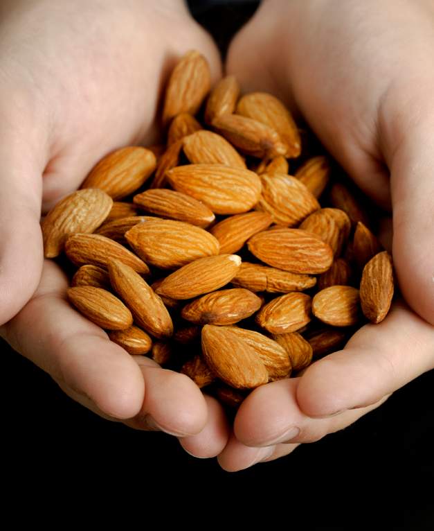 Almonds are now California’s largest agricultural export and were valued at nearly $4 billion in 2011.