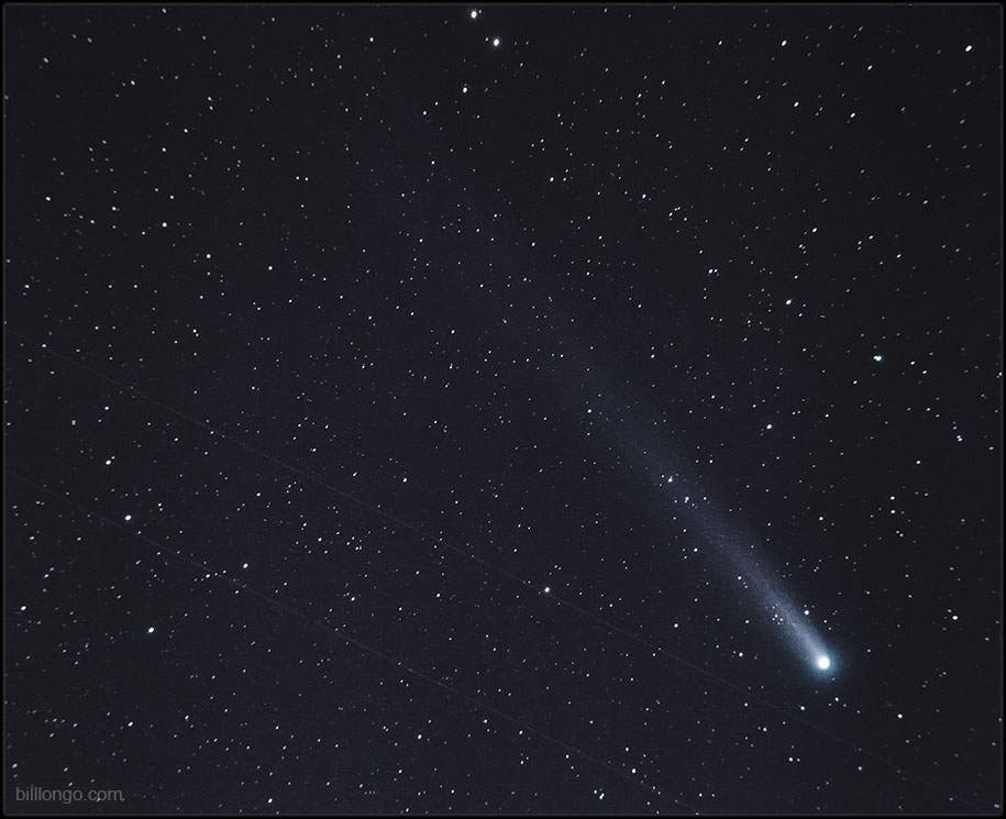 Comet ISON may be gone, but Comet Lovejoy (C/2013 R1) is still grazing the pre-dawn sky. (Courtesy of Bill Longo)