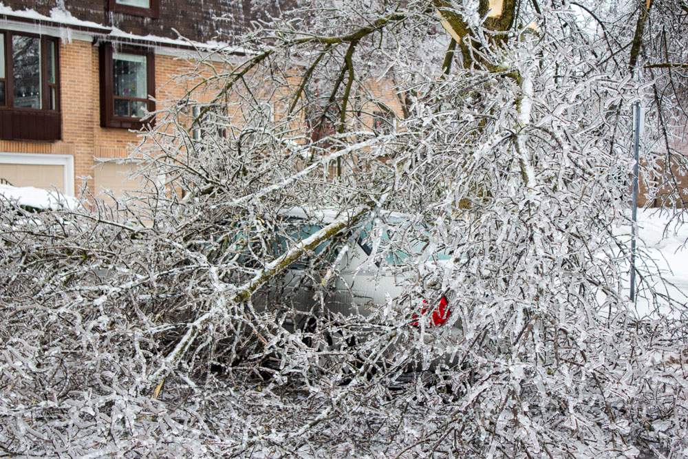 A car is buried beneath ice-covered branches in Richmond Hill, north of Toronto. (Nicole Mortillaro/Global News)