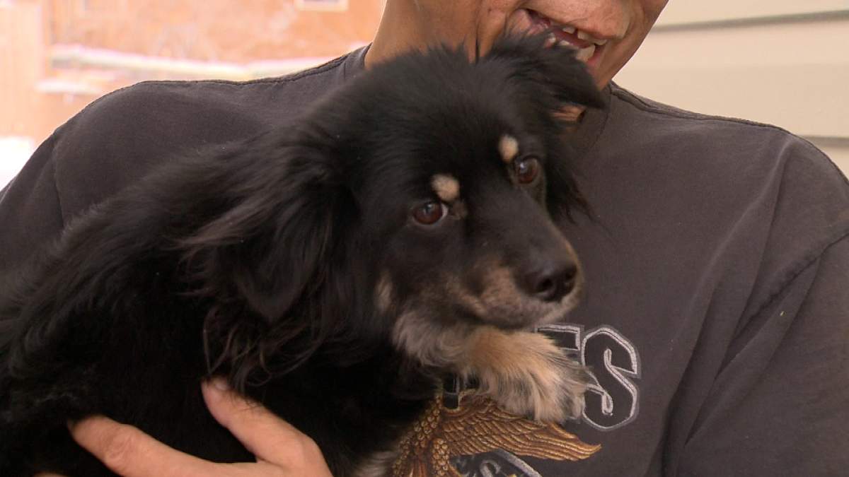 Arctic air brings along a risk of hypothermia and frostbite for those who spend time outdoors, it’s also dangerous for their pets.These frigid temperatures brings along a risk of hypothermia and frostbite for those who spend time outdoors, but it's also dangerous for our pets.