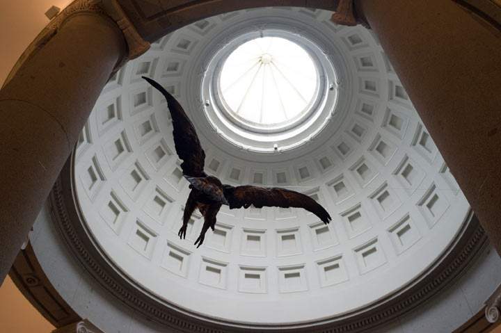 A stuffed eagle hangs at the main entrance of the Prado museum on November 19, 2013 in Madrid, Spain. (Photo by Denis Doyle/Getty Images)