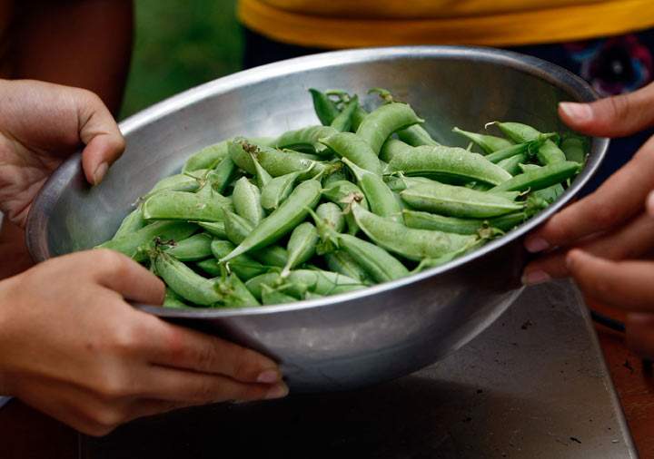 Want your kids to grow up to be healthy adults? Teach them to cook