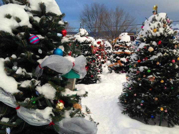 A Christmas tree memorial honouring the victims of the Lac-Megantic rail disaster