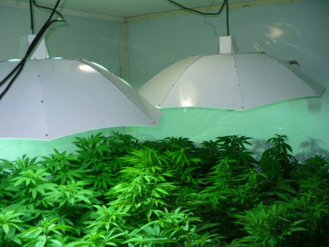 B.C.'s real estate industry says there's no province-wide standard for tracking home "drug operations," or for doing cleanup afterward.