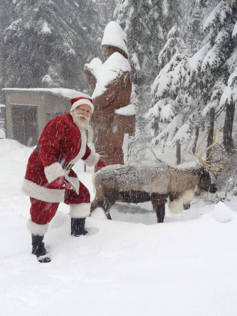 Santa Steven.