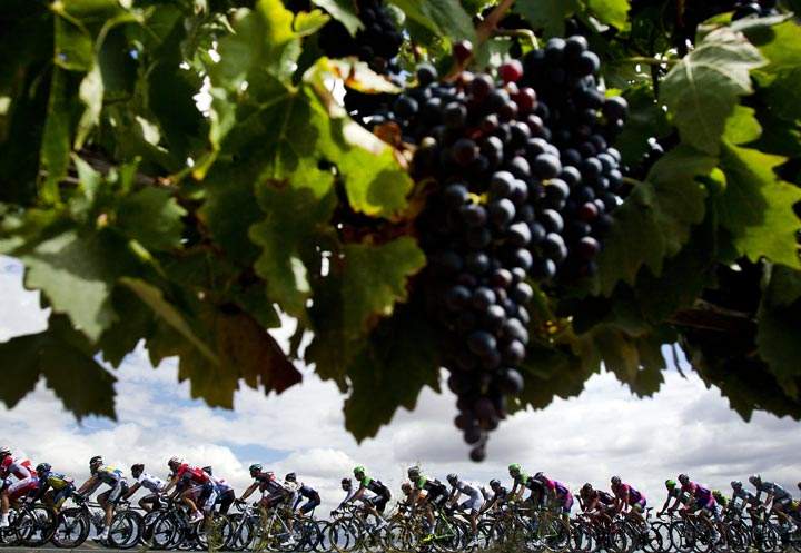 Cyclists are seen during the 17th day of the 68th edition of “La Vuelta” Tour of Spain on September 11, 2013. (Jaime Reina/AFP/Getty Images)