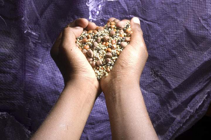 Quinoa Project