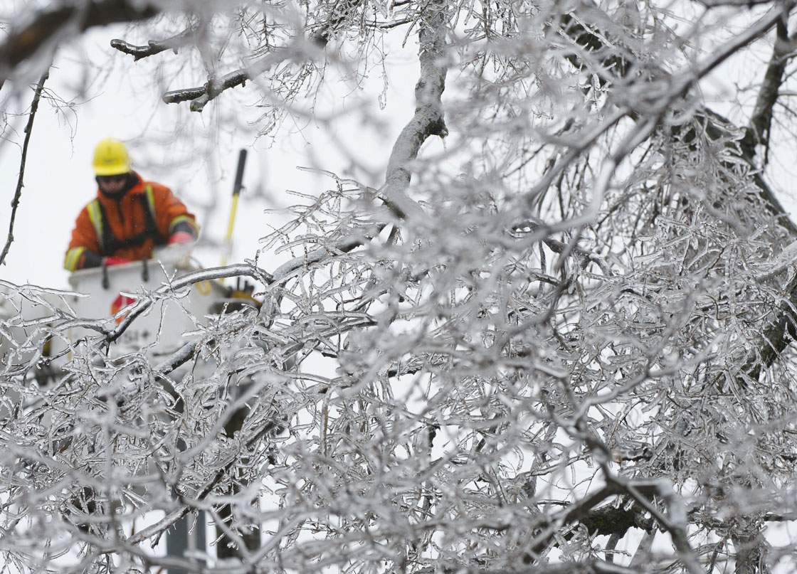 Removing downed trees became a year-round job this year for arborists across Eastern Canada. (The Canadian Press)