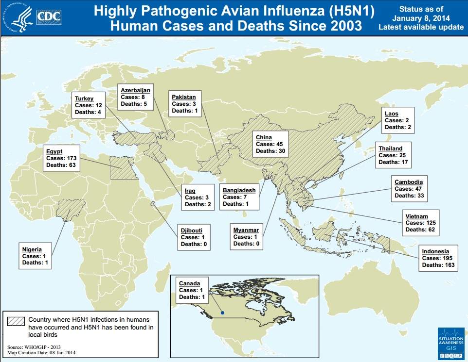 Risk to anyone potentially exposed to H5N1 patient at YVR is minimal: provincial health officer - image