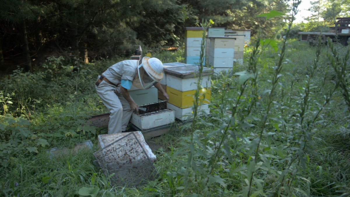 EU warns of possible health risk from pesticides - image