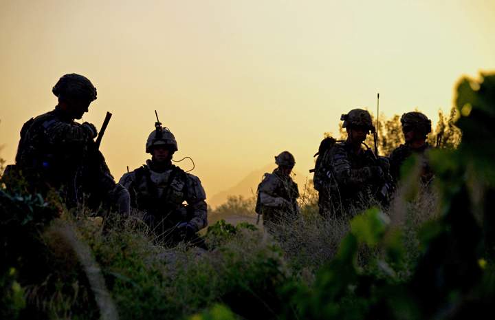 American and Canadian soldiers pick their way through a grapefield at sunrise on Thursday June 2, 2011, for a joint patrol, in Zangabad, Afghanistan. 