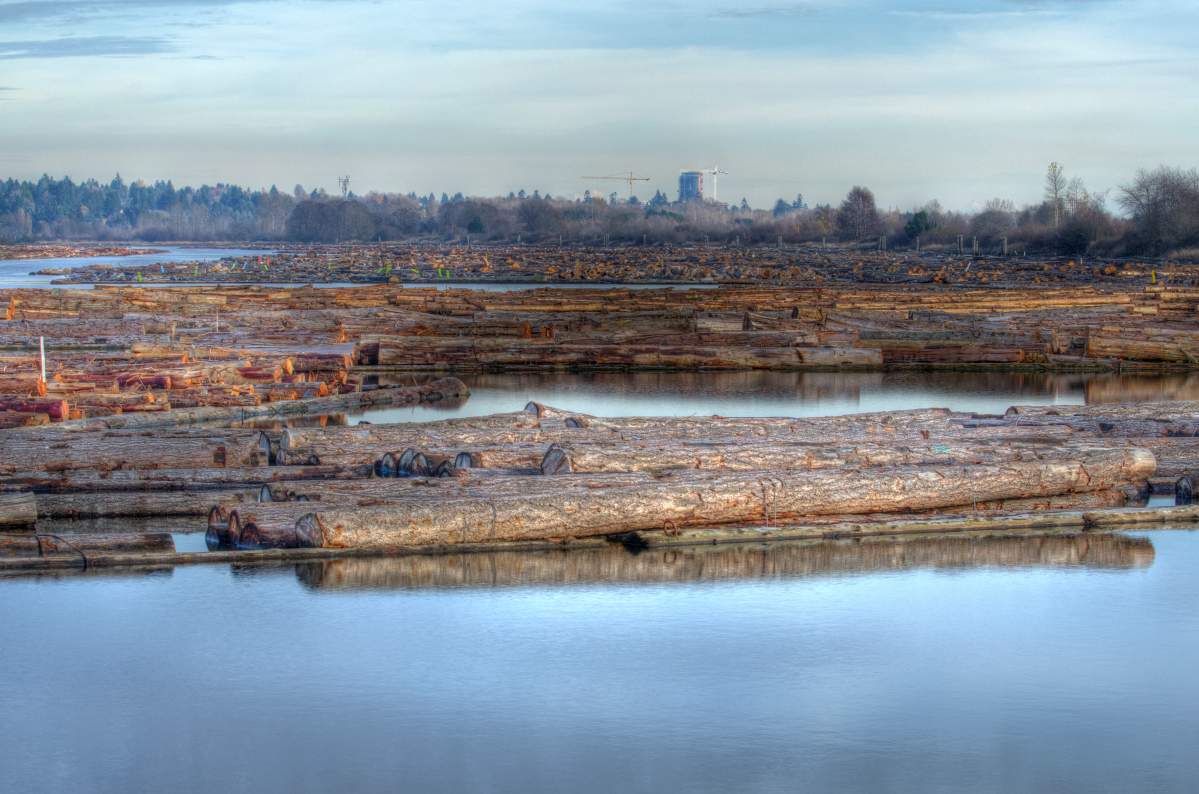 The city of Richmond has joined cities like Vancouver, London, L.A. and Halifax in declaring a climate emergency.