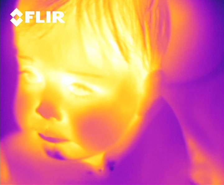 Image courtesy of Flir
