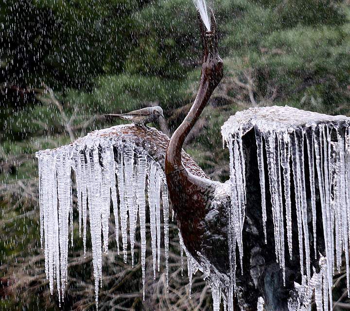 Gallery: Extreme heat, flooding and unusually cold temperatures around the world - image