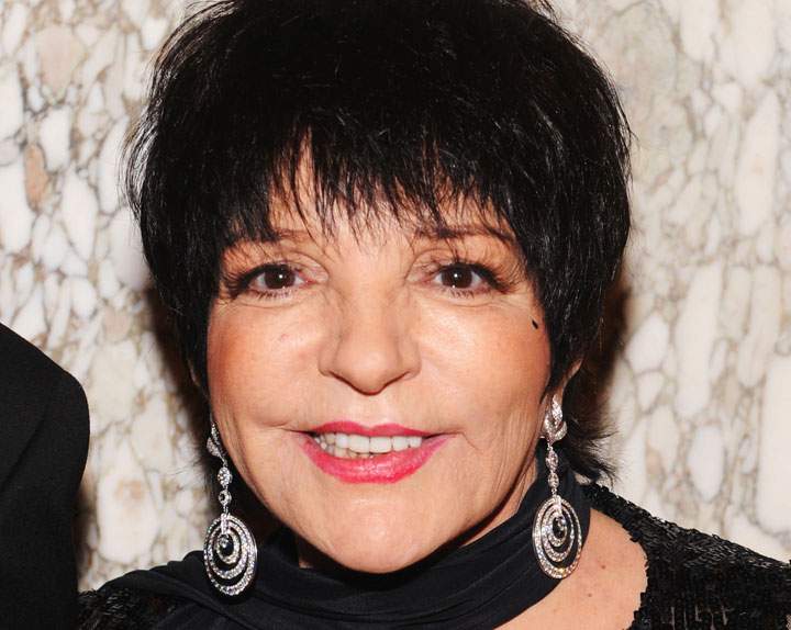 Liza Minnelli, pictured in June 2013.