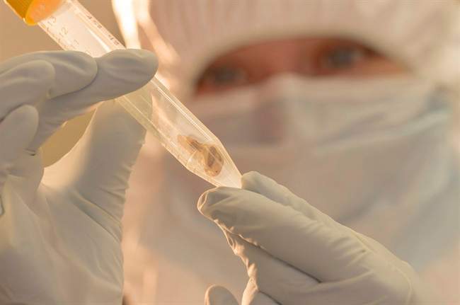 In this Jan. 17, 2014 photo provided by McMaster University, graduate biology student Jennifer Klunk examines a bone sample at McMaster University's Ancient DNA Centre in Hamilton, Canada. Scientists say two of the deadliest pandemics in history were caused by strains of the same plague and warn new versions of the bacteria could spark future outbreaks.