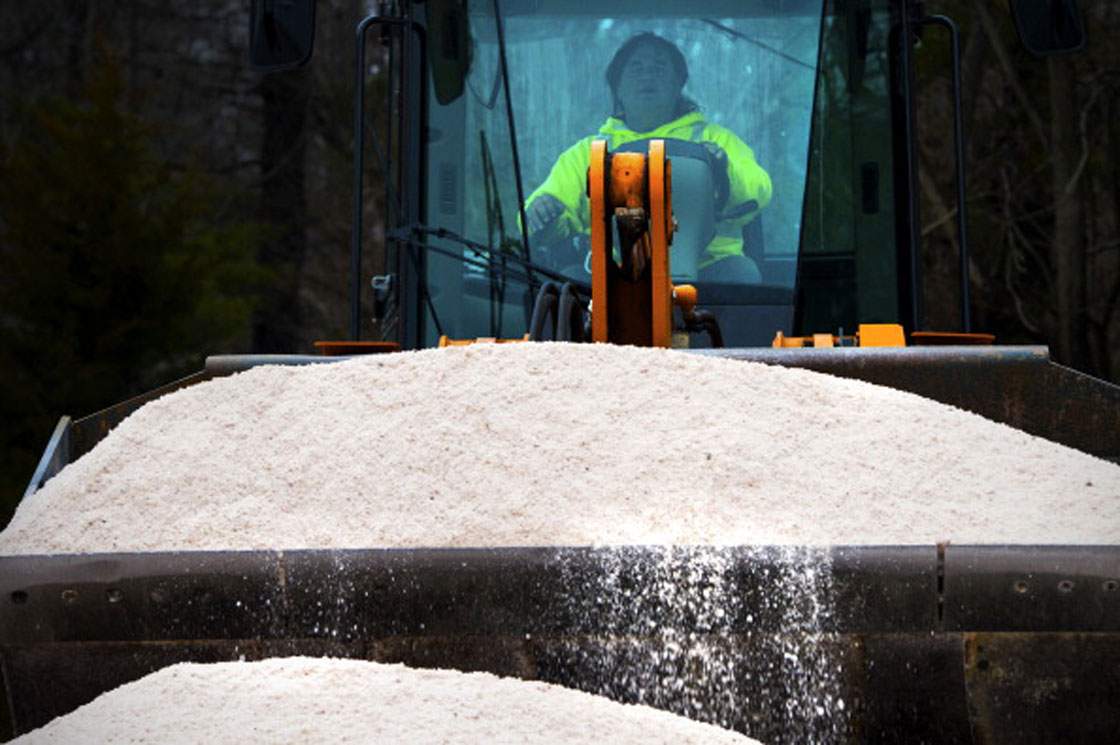 Five red-hot businesses thriving amid Canada's deep freeze