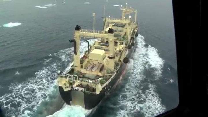 Anti-whaling group Sea Shepherd posted video online of dead whales on board the Japanese whaling ship Nisshin Maru