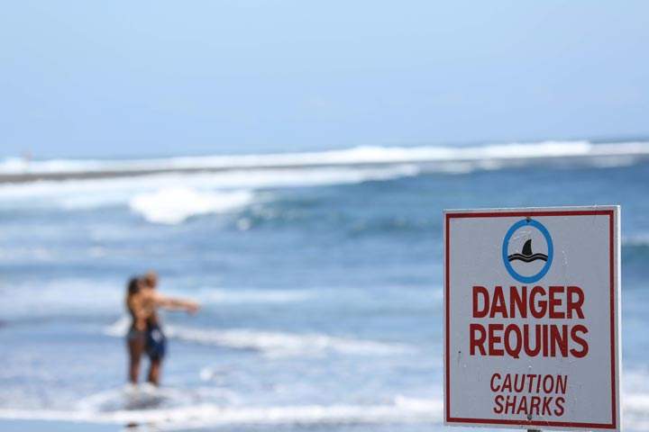An 18-year-old man has been killed by a shark while spear fishing on the Great Barrier Reef off the east Australian tourist town of Port Douglas.