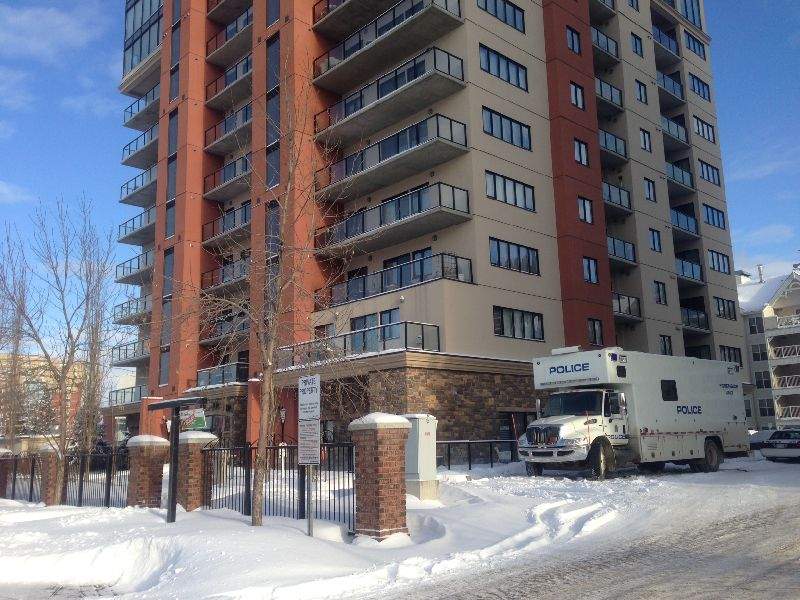 Police lay charges in the first homicide of 2014.