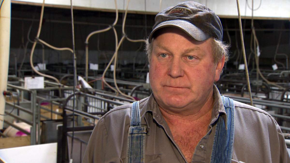 Terry Beck, a Kingston pig farmer, says he’s worried about the spread of PED — a virus that is killing baby pigs in the US.