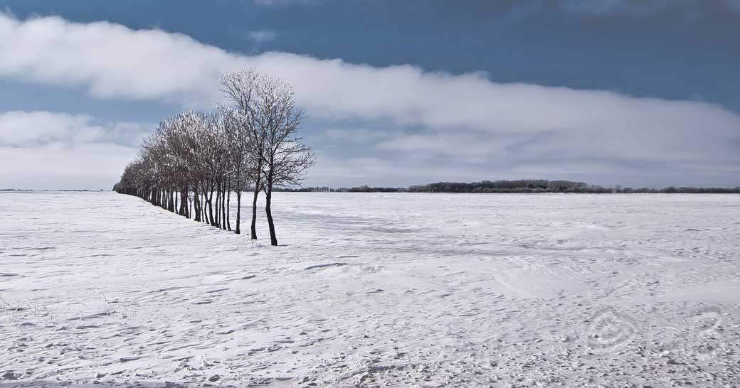 Winter in Winnipeg.