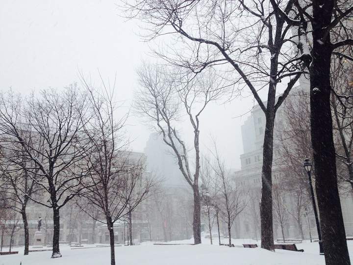 Downtown Montreal skyline through a flurry of snow on January 27, 2014.
