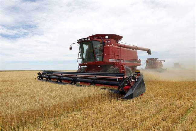 Optimistic outlook for Alberta agriculture - image