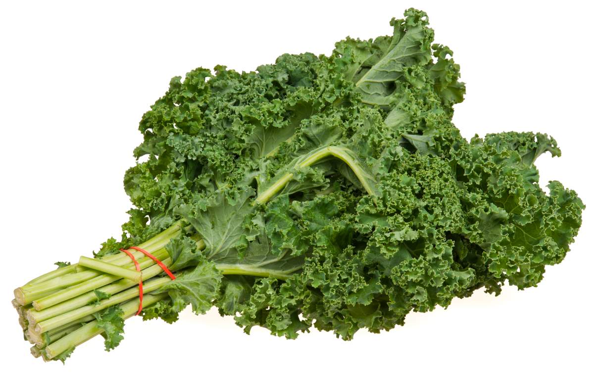 The vegetable that has more iron than beef - image