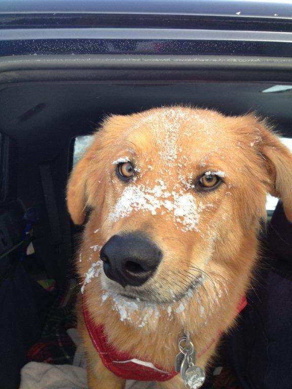 Global Calgary viewers show us some shivery selfies as they battle the bitter cold.