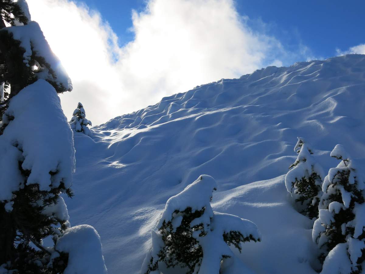 Cypress Mountain Resort has a new leaseholder.