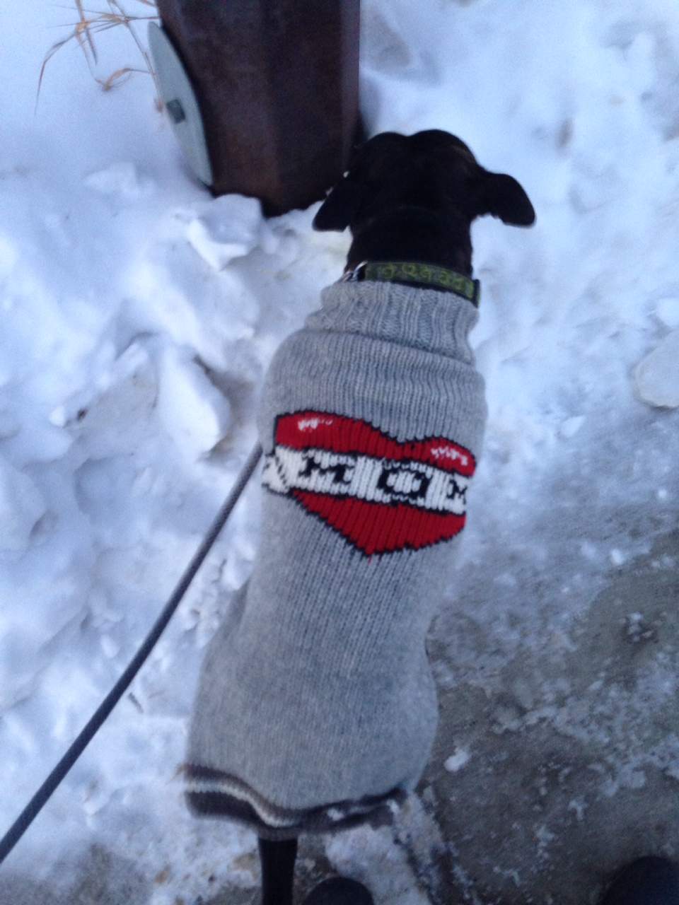 Zane hates the cold... or any 4-letter weather related word (rain, wind, snow, cold)