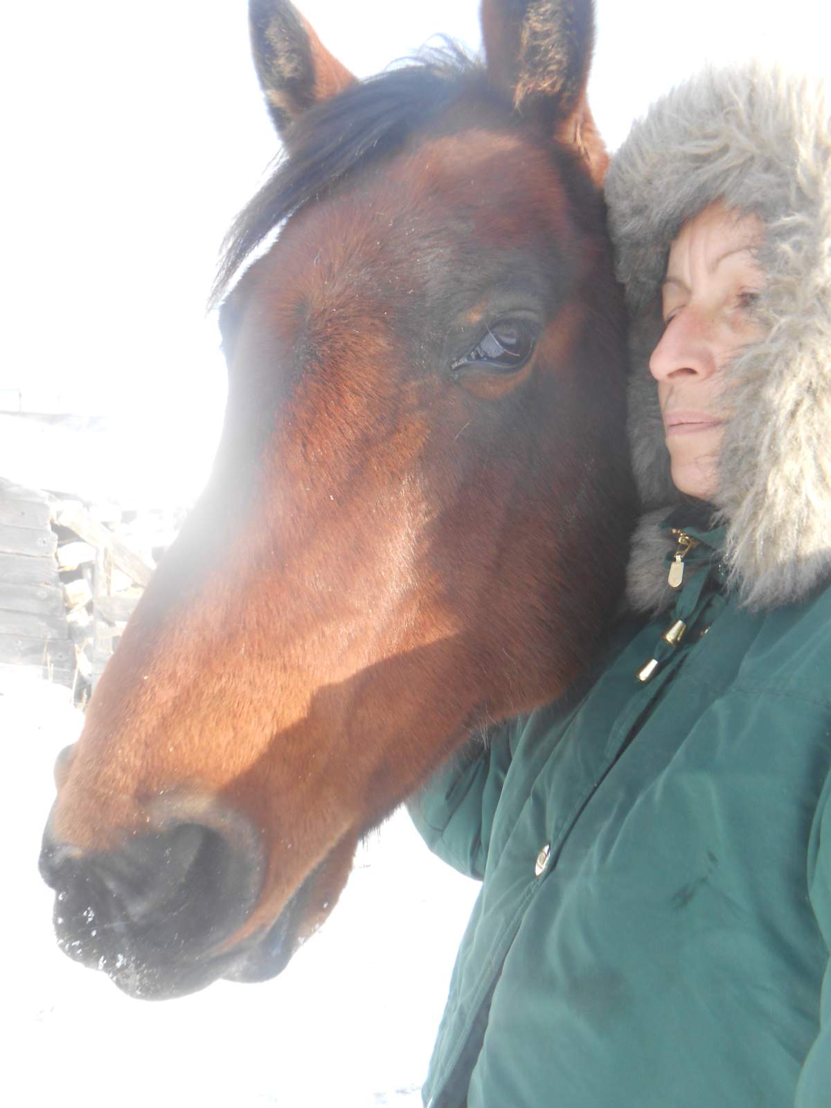 Tanja and her horse snap a shivery selfie