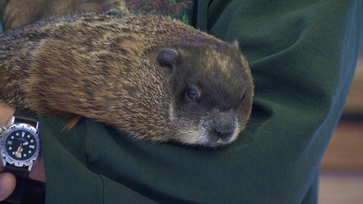Groundhog Day